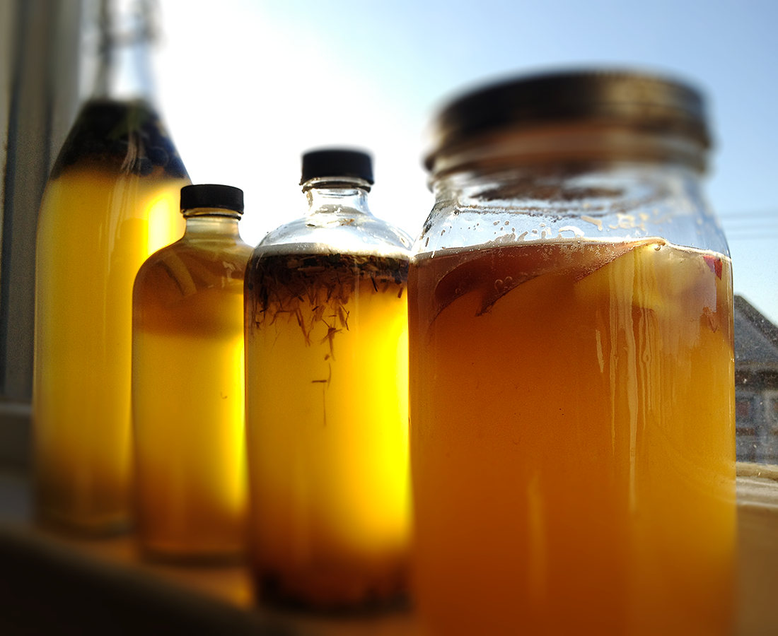 Kombucha & Other Fermented Foods